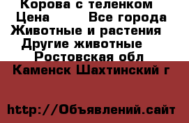 Корова с теленком › Цена ­ 69 - Все города Животные и растения » Другие животные   . Ростовская обл.,Каменск-Шахтинский г.